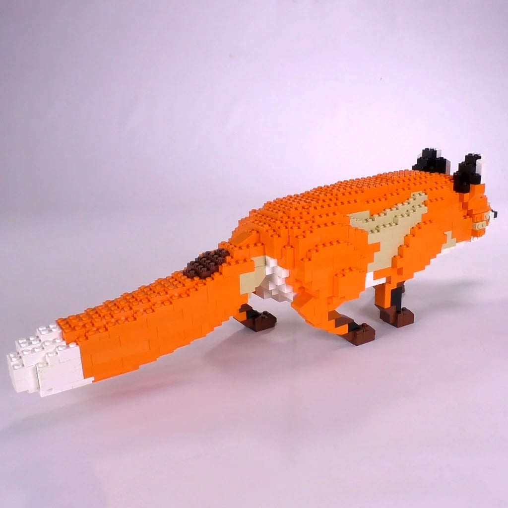 Red Fox