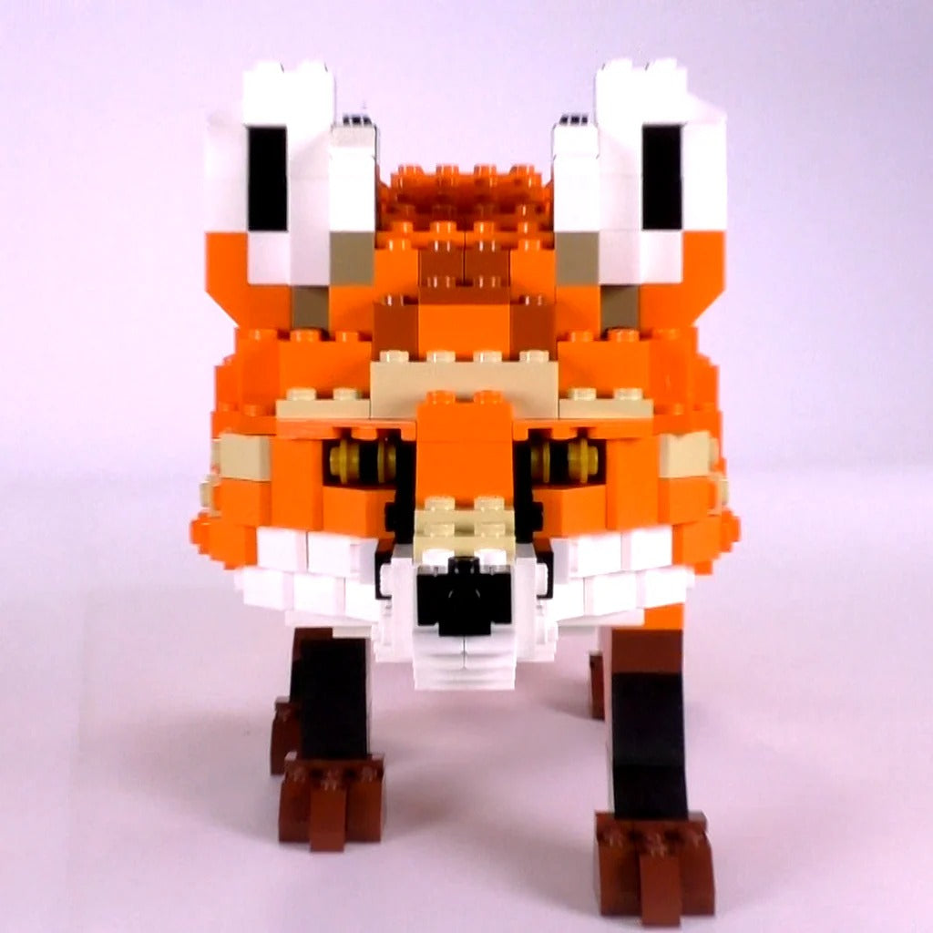 Red Fox